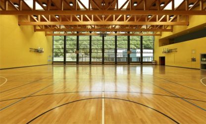 public school, interior wide gym public school, interior wide gym